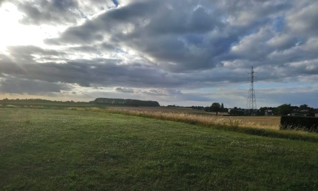 Rommelmarkt in Zepperen van donderdagnamiddag houdt het droog