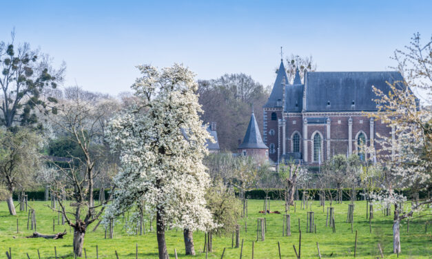Zonnig weekend halverwege de paasvakantie. “Genieten van lentedagen”
