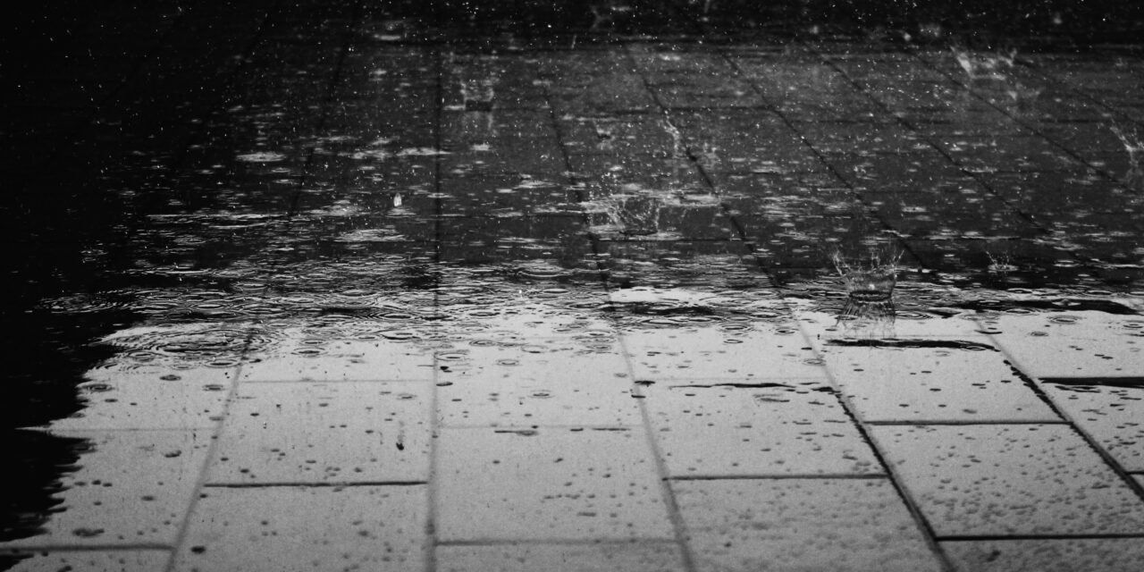 HASPENGOUWS WEERPRAATJE. “Meestal droog, soms zonnig maar wel koud voor de rijd van het jaar”