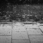 HASPENGOUWS WEERPRAATJE. “Meestal droog, soms zonnig maar wel koud voor de rijd van het jaar”