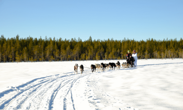 Tips4Trips. Zweedse time-out tussen sneeuwavontuur, Vlamingen Eline en Simon, en het goede leven