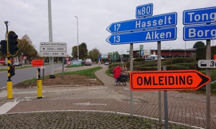 Dubbelrichtingsfietspad moet Industrielaan veiliger maken. “Maar wat met de voetgangers?”