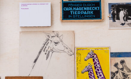 Kleurrijke tentoonstelling ‘Jenever en ZOO’ tot en met 4 januari in Jenevermuseum. “Voor grafisch kunstenaar Edgard (1909-1980) is dit thuiskomen”