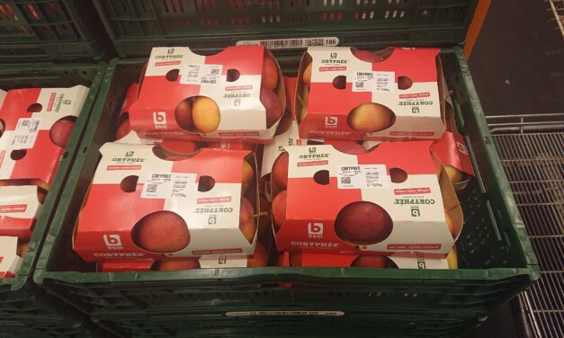 Truiense Coryphée-appel nu bij Colruyt 1+1 gratis