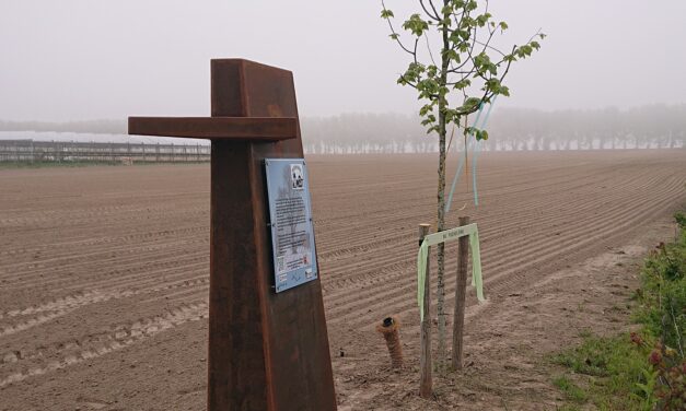 Monumenten en jonge lindebomen onthuld. “We willen de oorlogsverhalen van Wilderen-Duras én de hoop op vredevolle tijden doorgeven aan onze kinderen en kleinkinderen”