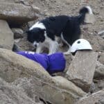 Levensreddende missies met honden op vrijwillige basis. GSAR opent nieuw oefenterrein in Tongeren