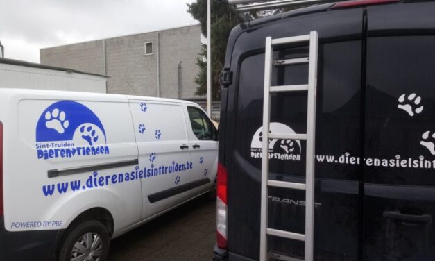 Vier honden in beslag genomen na controle in woning in Sint-Truiden